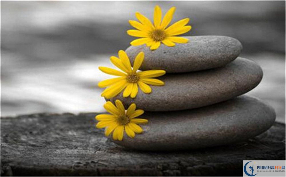 成都市成都西藏中學(xué)哪個(gè)校區(qū)好? 成都市成都西藏中學(xué)哪個(gè)校區(qū)好?