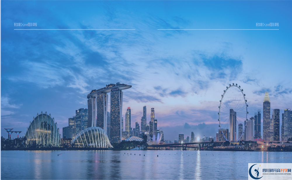 電子科技大學(xué)新加坡O-Level國際課程2024年招生簡章 電子科技大學(xué)新加坡O-Level國際課程2024年招生簡章