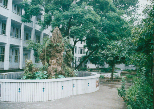 內(nèi)江十三中地址在哪？