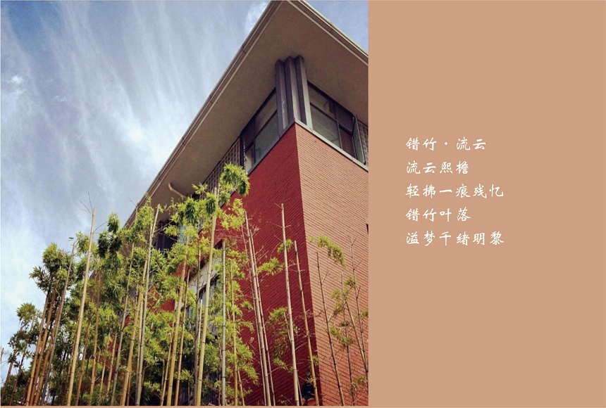 成都七中2019年中考分數線是多少?