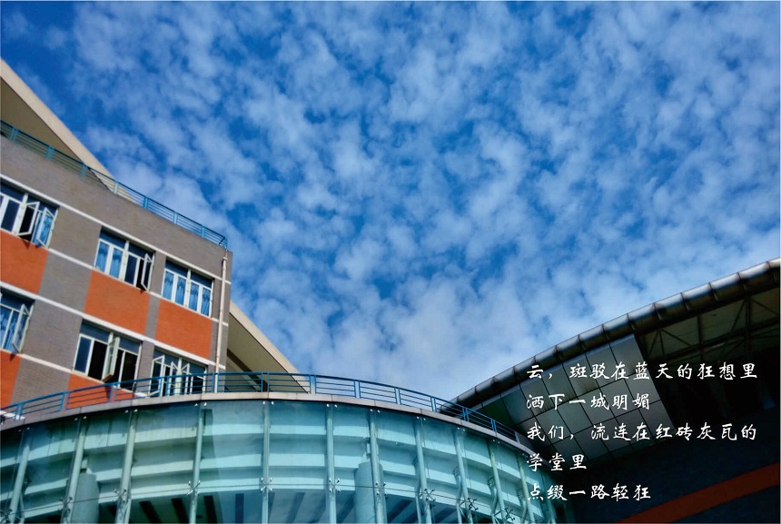 成都七中2020年中考錄取分?jǐn)?shù)線是多少？