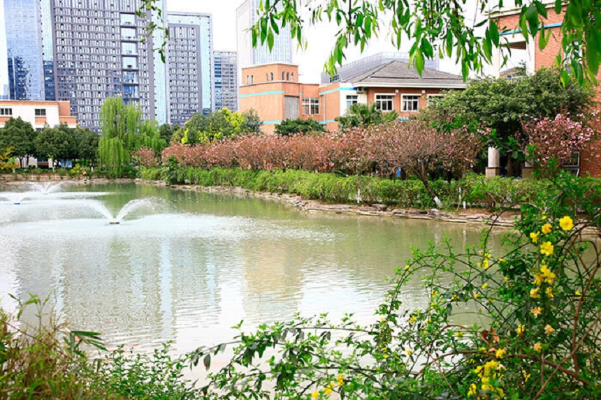 成都美視國際學(xué)校網(wǎng)址是什么？