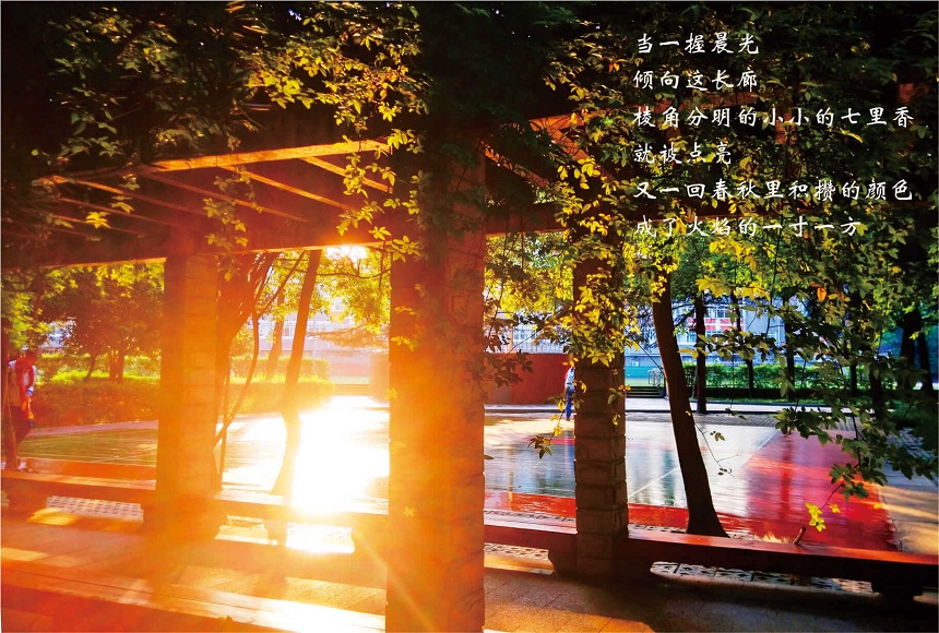 成都七中高新校區(qū)2019年中考分數線是多少？
