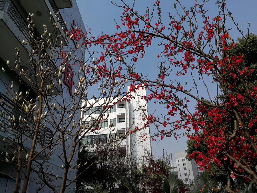 綿陽南山中學(xué)教學(xué)質(zhì)量怎么樣？