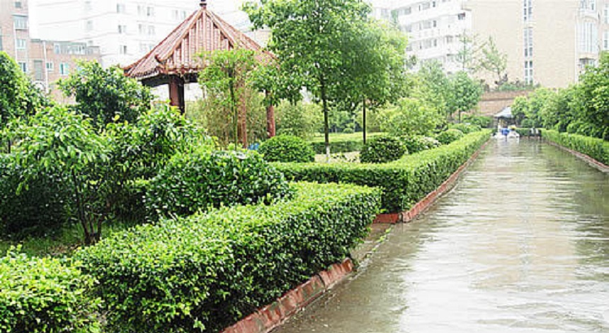 華興中學(xué)環(huán)境好不好？