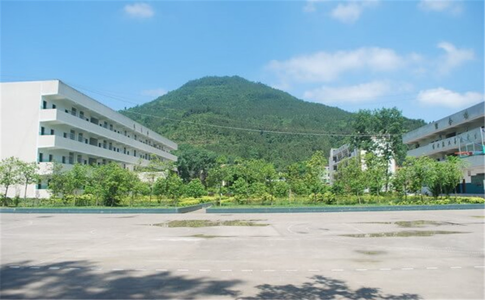 金山中學(xué)學(xué)校環(huán)境如何？