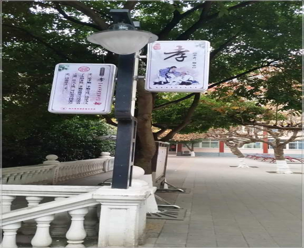 蒼溪實(shí)驗(yàn)中學(xué)2020年的招生簡章發(fā)布了嗎？