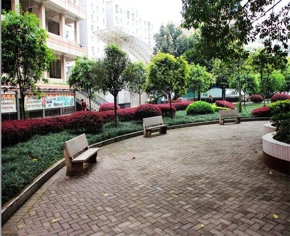 渠縣第二中學(xué)學(xué)校的環(huán)境怎么樣？