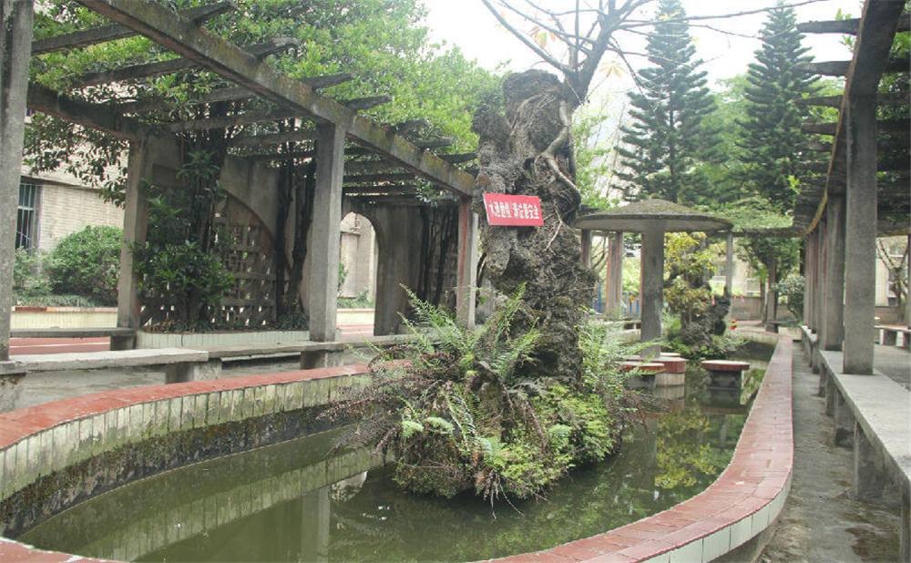 內(nèi)江鐵路中學學校環(huán)境怎么樣？
