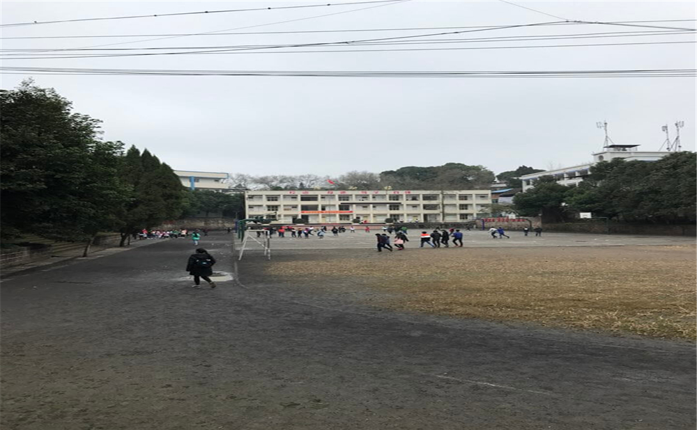 內(nèi)江十二中2020年學校學費多少錢一年？