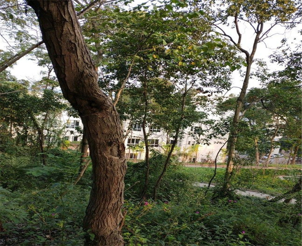蒲家中學(xué)的詳細地址在什么地方？