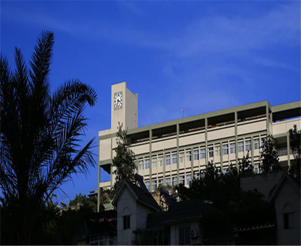攀枝花市第十五中學(xué)學(xué)校詳細地址在什么地方？