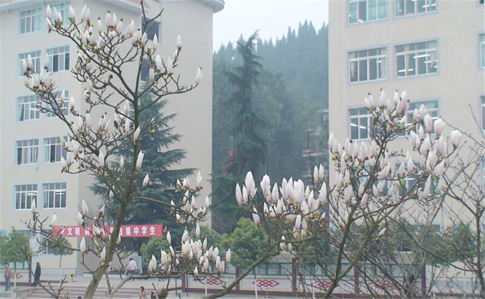 建興中學(xué)學(xué)校詳細(xì)地址在什么地方？