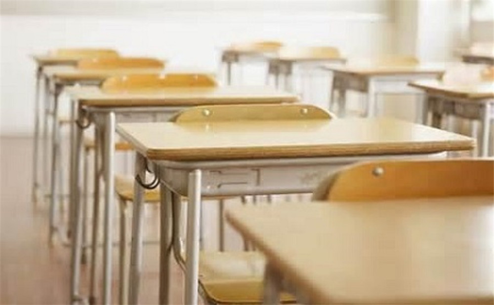 新格林藝術高級中學校2020年招生錄取分數(shù)線是多少？