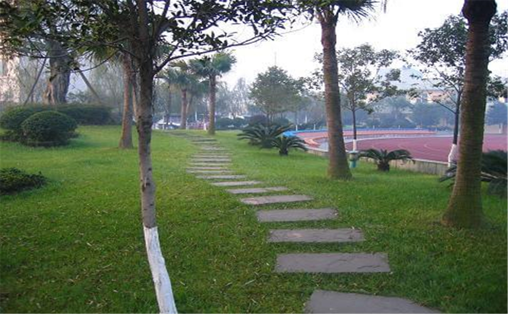 成都石室佳興外國語學(xué)校外招生一年的學(xué)費是多少錢？