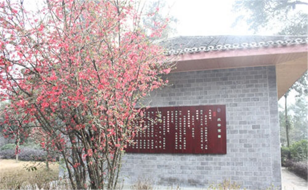 彭州中學(xué)2020年招生標(biāo)準(zhǔn)在哪兒看？