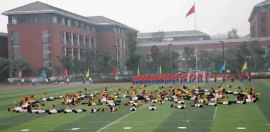 2020年成都七中高新校區(qū)的升學(xué)率有多少？