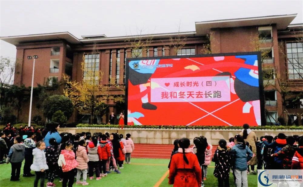 成都教科院附屬學校升學率有多少？