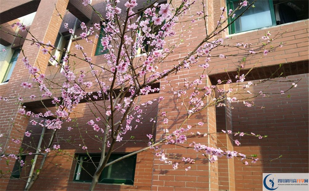 育才學校的升學率是多少？