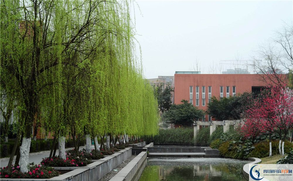 上香城中學(xué)的分?jǐn)?shù)線是多少？