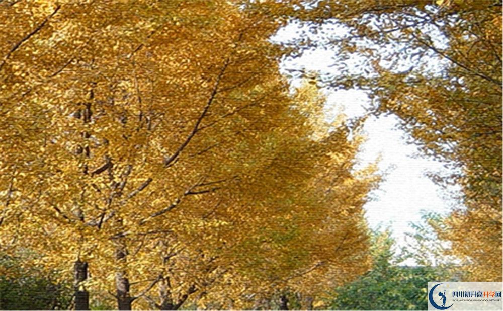 西南交通大學(xué)附屬中學(xué)地址在哪里？