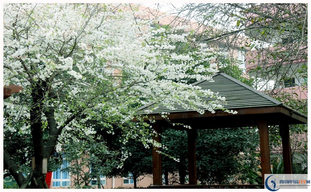 蜀城中學(xué)2020清華北大錄取學(xué)生是多少？