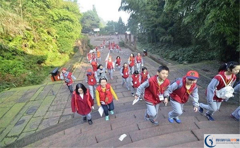 成都市泡桐樹中學2020年保送清華北大的人數(shù)是多少？