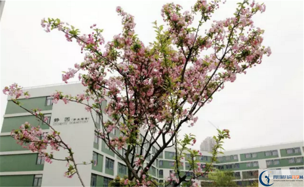 邛崍二中高中部地址在哪里？