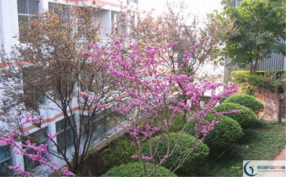 三星中學(xué)高中部地址在哪里？