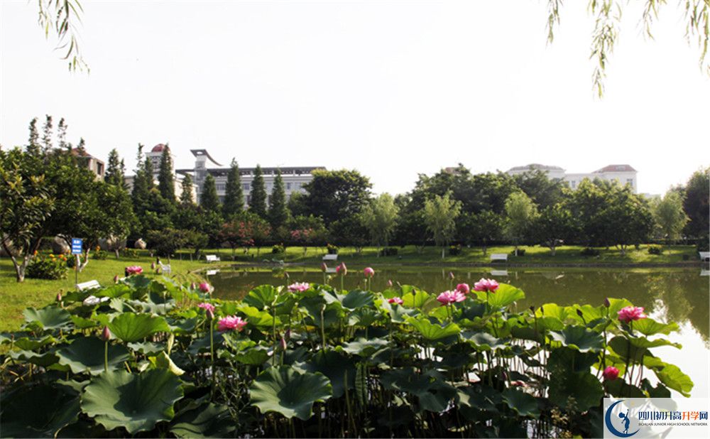 2020四川師范大學(xué)實(shí)驗(yàn)外國語學(xué)校高中分班考試是好久？
