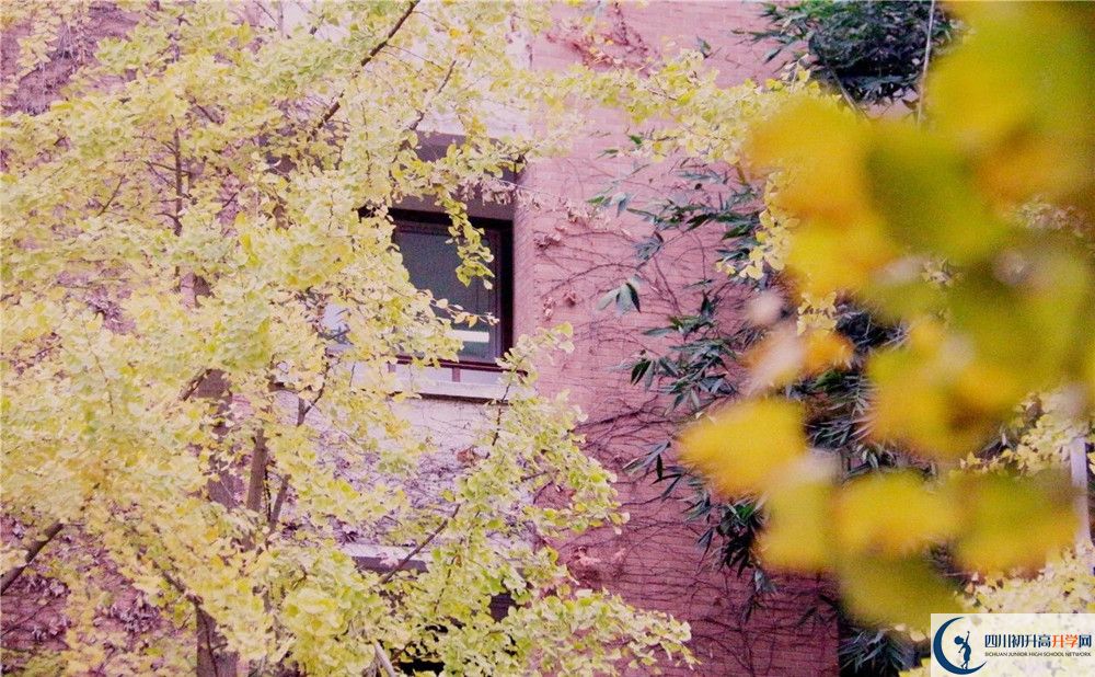 成都綿實(shí)外國(guó)語學(xué)校實(shí)驗(yàn)班人數(shù)是多少？