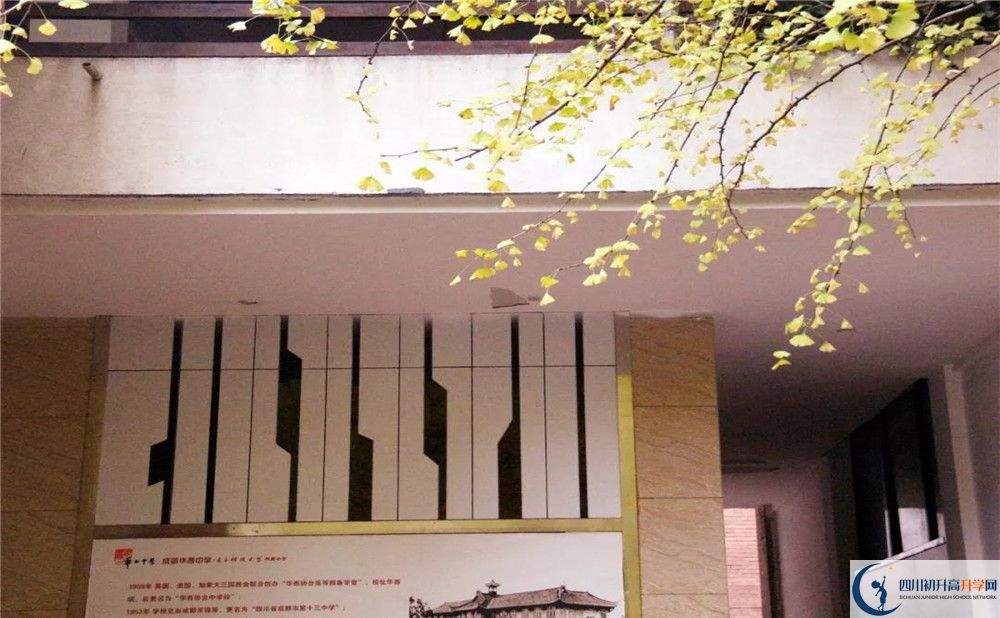 2020四川師范大學(xué)附屬第三實(shí)驗(yàn)中學(xué)初升高分班考試題難嗎？