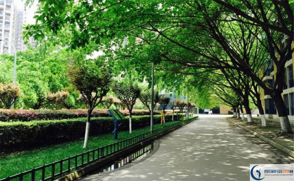 成都七中實(shí)驗(yàn)學(xué)校高2020屆高三階段檢測試題語文難嗎？