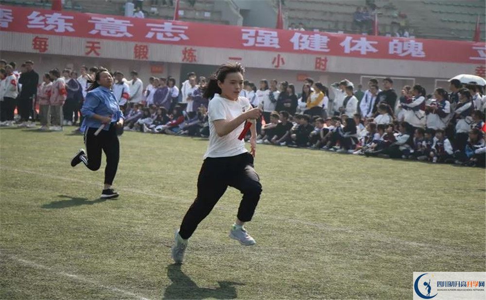 2020香城中學(xué)高三英語期末試卷在哪看？
