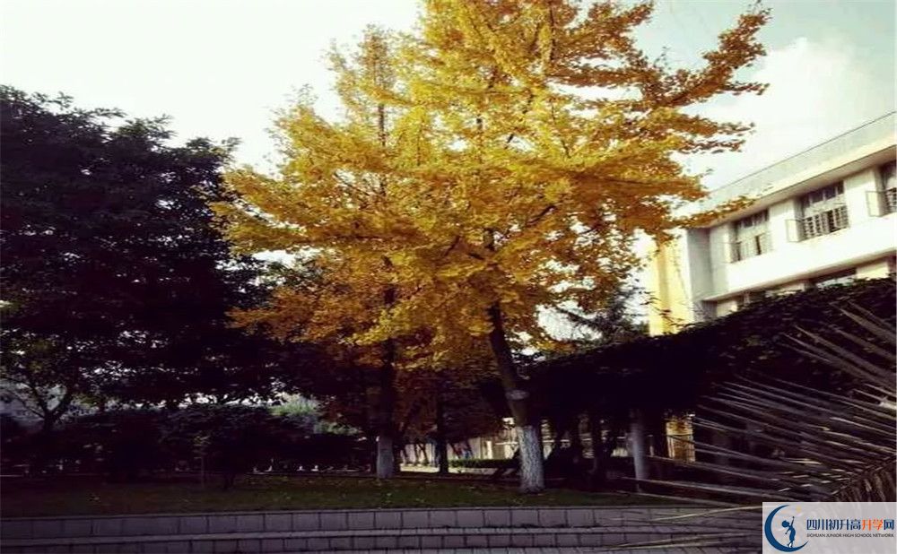 成都教科院附屬學校2020屆高三數學測試題在哪兒看？