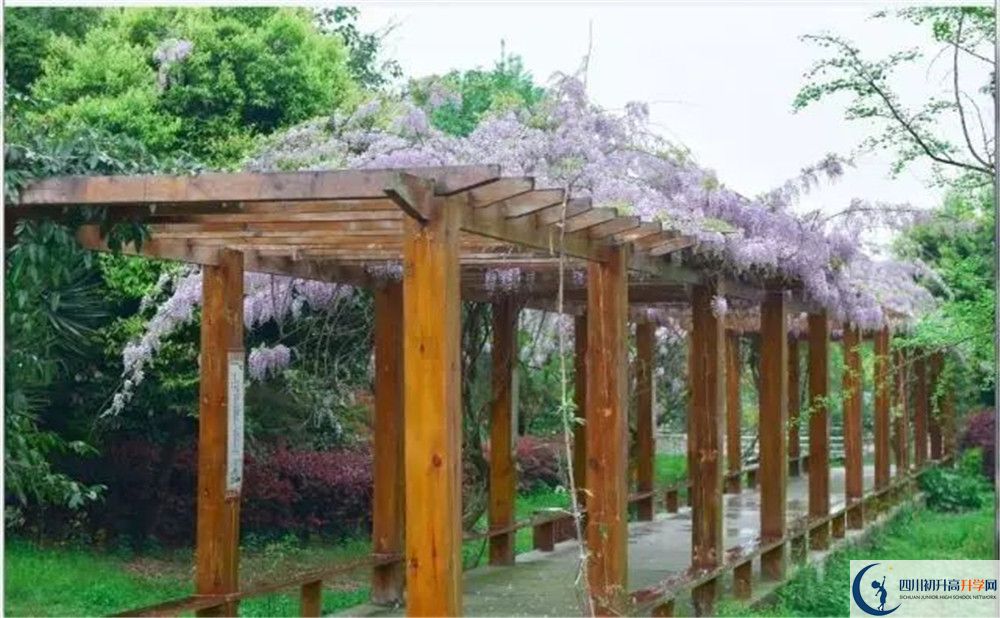 2020成都外國語學校國際部錄取要求是什么？