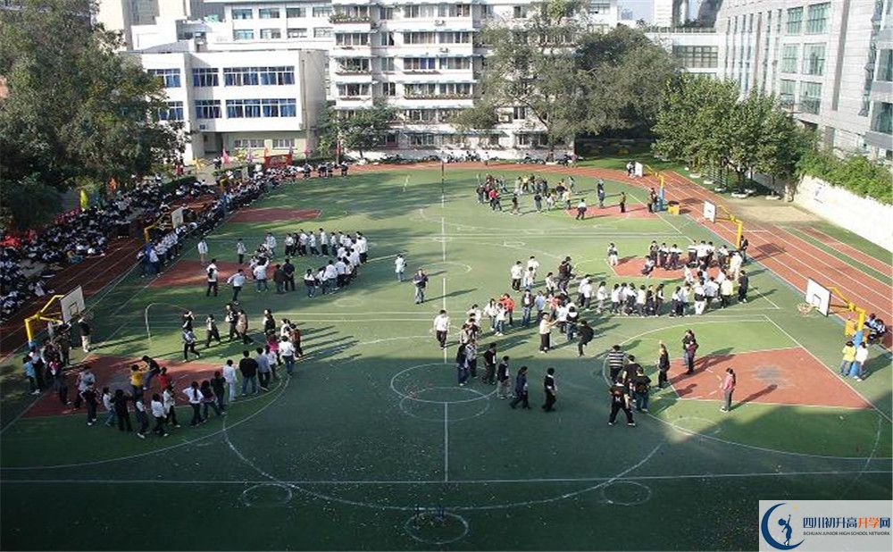 樹德博瑞實驗學校在校學生總人數(shù)是多少？