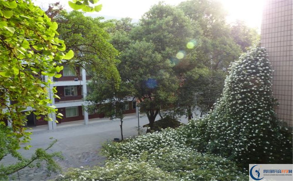2020石室聯(lián)合中學(xué)蜀華分校二診數(shù)學(xué)試題答案在哪看？