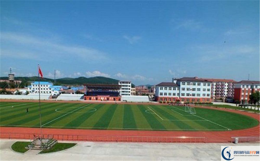 成都市華陽中學(xué)2020年高考人數(shù)是多少？
