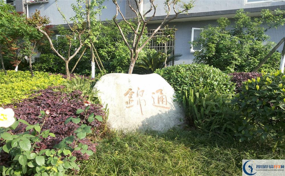 通錦中學(xué)2020年開學(xué)時(shí)間安排是怎樣的？