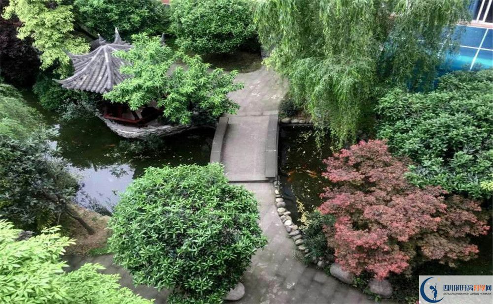 成都八中今年的錄取條件是否有變化？