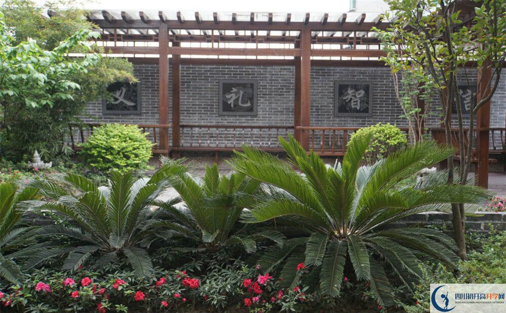 成都八中高三診斷考試時間怎么安排？