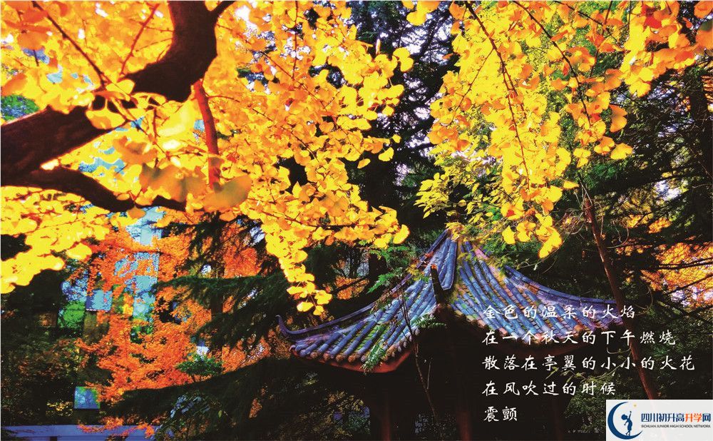 七中高新2020年錄取分?jǐn)?shù)線是多少分？