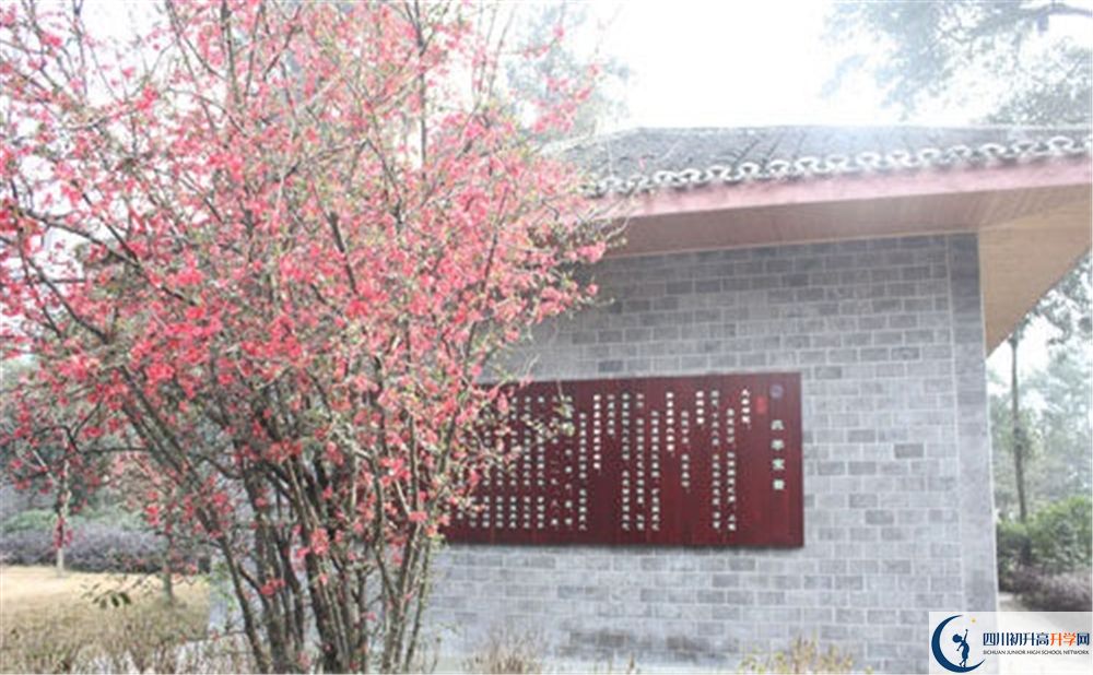 彭州中學(xué)2020年排名高不高？